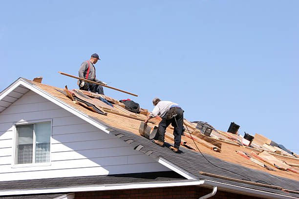 Best Roof Insulation Installation  in Blowing Rock, NC